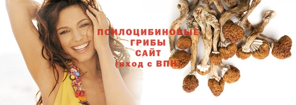 стафф Верхний Тагил