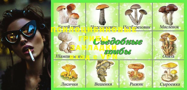 альфа пвп Верхнеуральск
