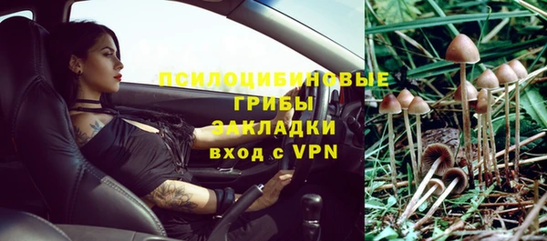 стафф Верхний Тагил
