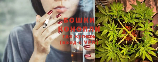 стафф Верхний Тагил