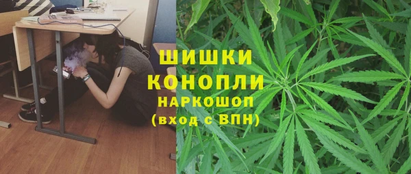 стафф Верхний Тагил